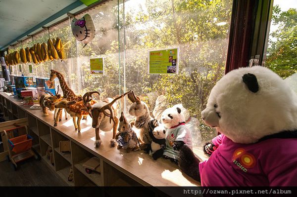 [親子]陽光、綠意、歡笑～童遊森林館 PLAY TOGETHER。