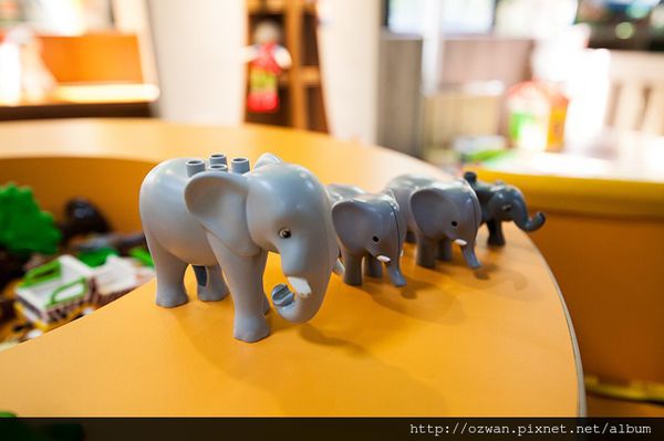 [親子]陽光、綠意、歡笑～童遊森林館 PLAY TOGETHER。