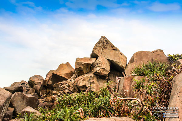 伊莎貝拉海灘咖啡館(白沙灣分店)│新北市/石門區(異國風情美食，坐擁獨天海景)