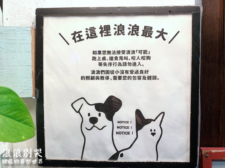 台北寵物餐廳,台北流浪動物,台北流浪動物餐廳,台北浪浪別哭,捷運善導寺站,捷運善導寺站美食,浪浪別哭,浪浪別哭 台北,浪浪別哭 菜單,浪浪別哭 訂位,浪浪別哭IG,浪浪別哭PTT,浪浪別哭台北菜單,浪浪別哭菜單,浪浪別哭領養 @猴屁的異想世界