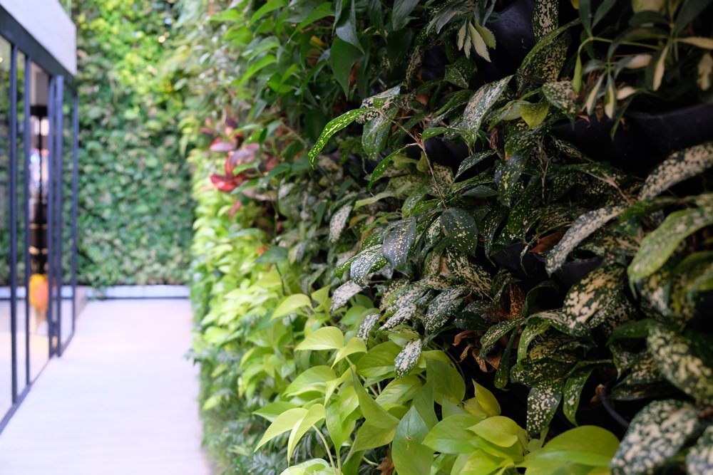 台中咖啡早午餐