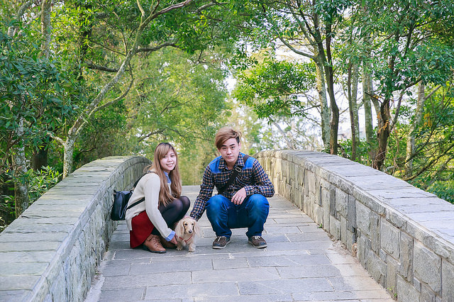 【苗栗卓蘭景點】寵物友善 婚紗外拍 彷彿童話故事般的 vilavilla魔法莊園