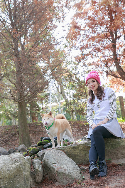 【苗栗卓蘭景點】寵物友善 婚紗外拍 彷彿童話故事般的 vilavilla魔法莊園