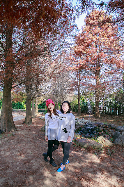 【苗栗卓蘭景點】寵物友善 婚紗外拍 彷彿童話故事般的 vilavilla魔法莊園