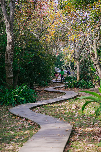【苗栗卓蘭景點】寵物友善 婚紗外拍 彷彿童話故事般的 vilavilla魔法莊園