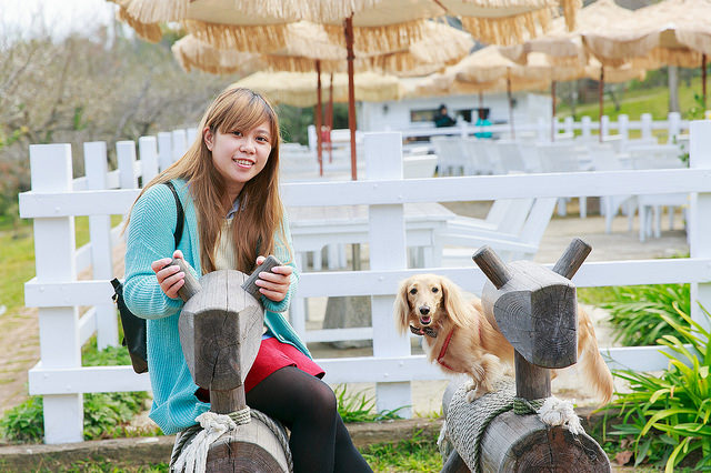 【苗栗卓蘭景點】寵物友善 婚紗外拍 彷彿童話故事般的 vilavilla魔法莊園