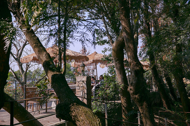 【苗栗卓蘭景點】寵物友善 婚紗外拍 彷彿童話故事般的 vilavilla魔法莊園