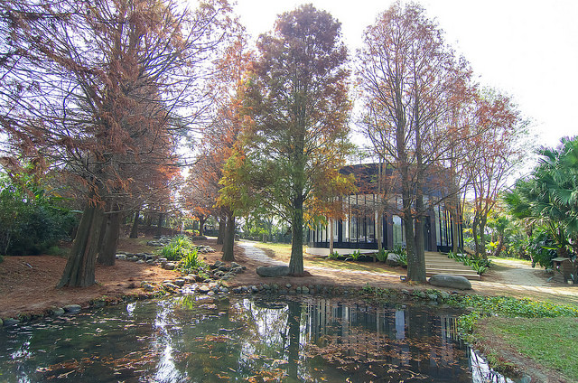 【苗栗卓蘭景點】寵物友善 婚紗外拍 彷彿童話故事般的 vilavilla魔法莊園