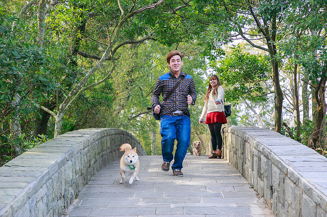 【苗栗卓蘭景點】寵物友善 婚紗外拍 彷彿童話故事般的 vilavilla魔法莊園