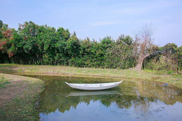【苗栗卓蘭景點】寵物友善 婚紗外拍 彷彿童話故事般的 vilavilla魔法莊園