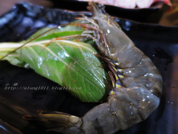 歡樂大放送-  魔樂鍋