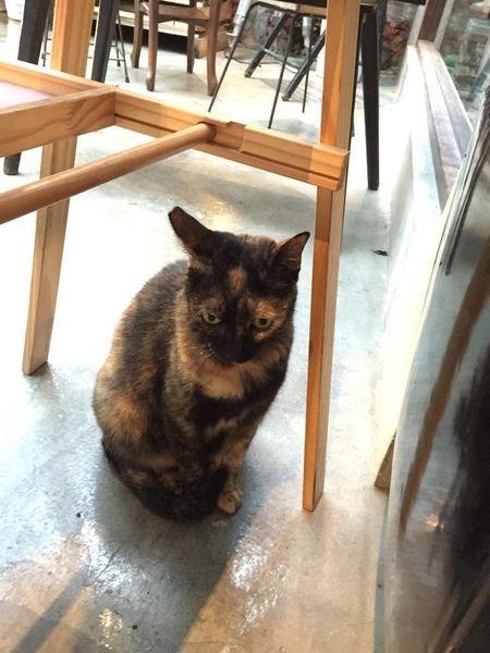 [台北松山 捷運小巨蛋] 畫畫控必訪!!! 來塗鴉你的美味心情吧~ Remember Me 記得我 Cafe