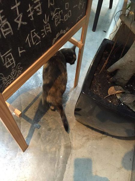 [台北松山 捷運小巨蛋] 畫畫控必訪!!! 來塗鴉你的美味心情吧~ Remember Me 記得我 Cafe