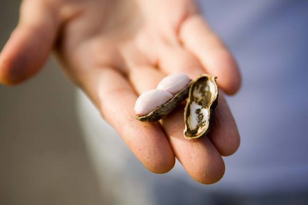 10312804_641621835924092_3894017385404173203_n.jpg 10312804_641621835924092_3894017385404173203_n.jpg