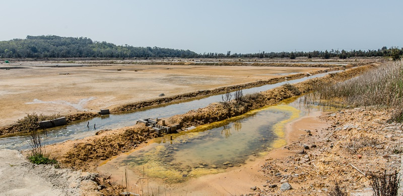 金門花海鹽田夕陽 (32)