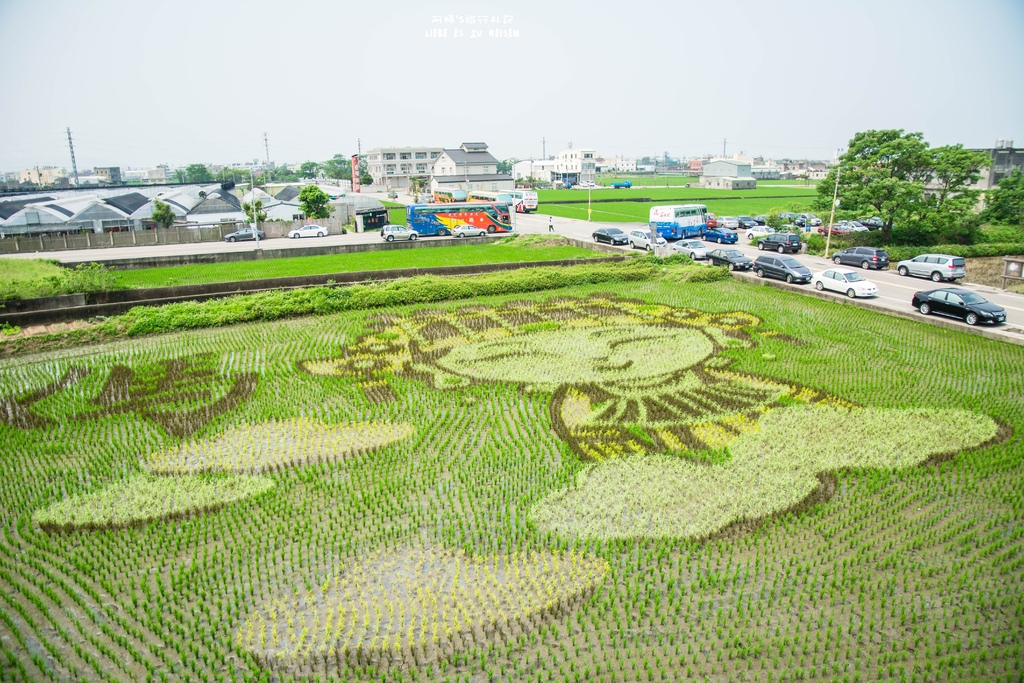 DSC_9224.jpg DSC_9224.jpg