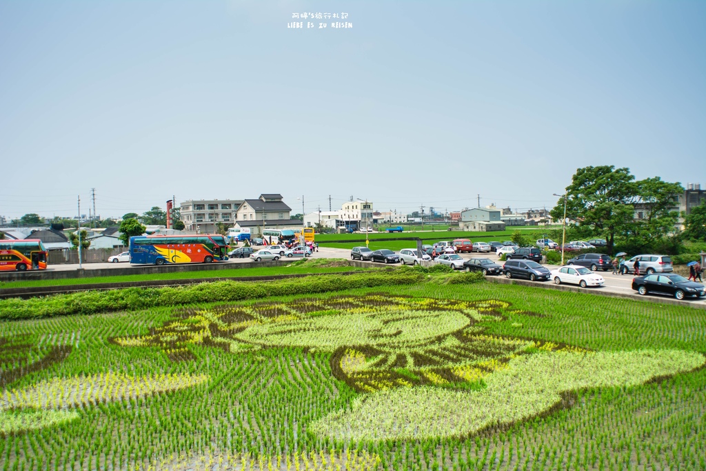 DSC_9239.jpg DSC_9239.jpg