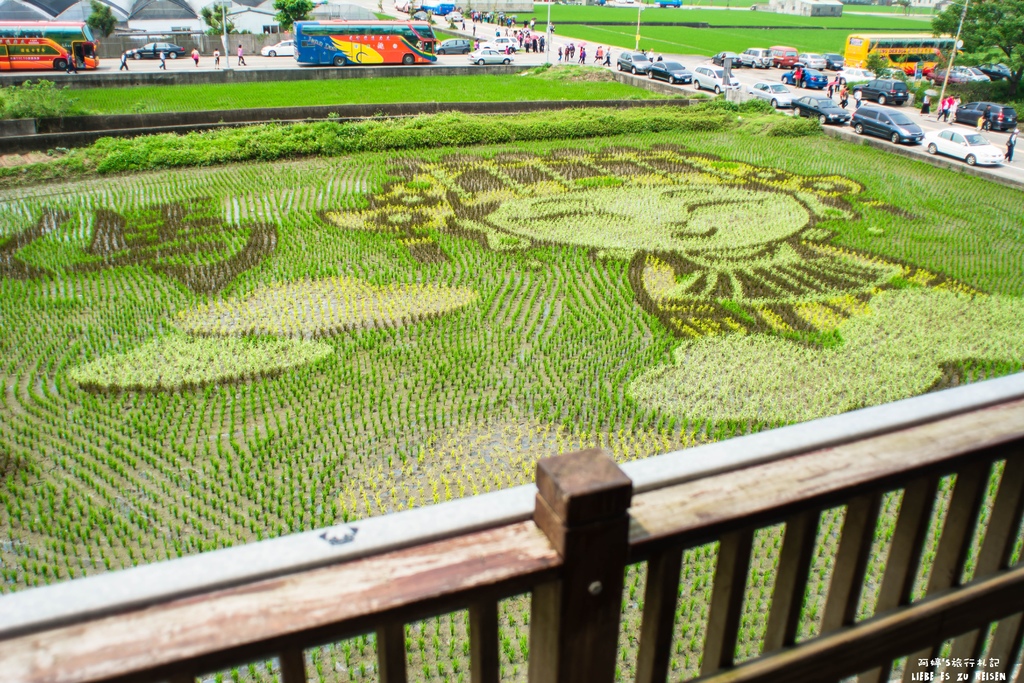 DSC_9233.jpg DSC_9233.jpg