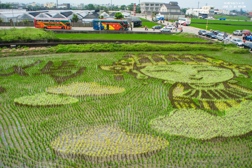 DSC_9229.jpg DSC_9229.jpg