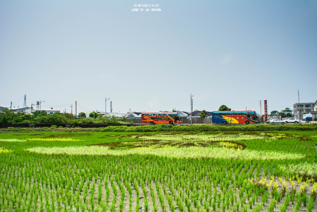 DSC_9260.jpg DSC_9260.jpg