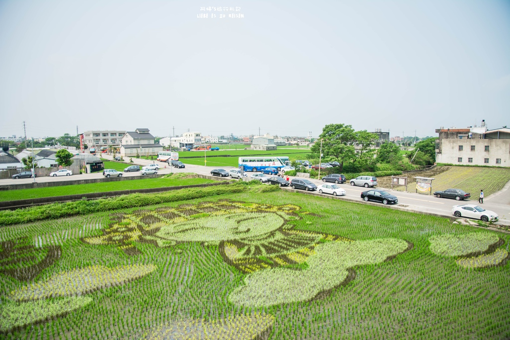 DSC_9220.jpg DSC_9220.jpg