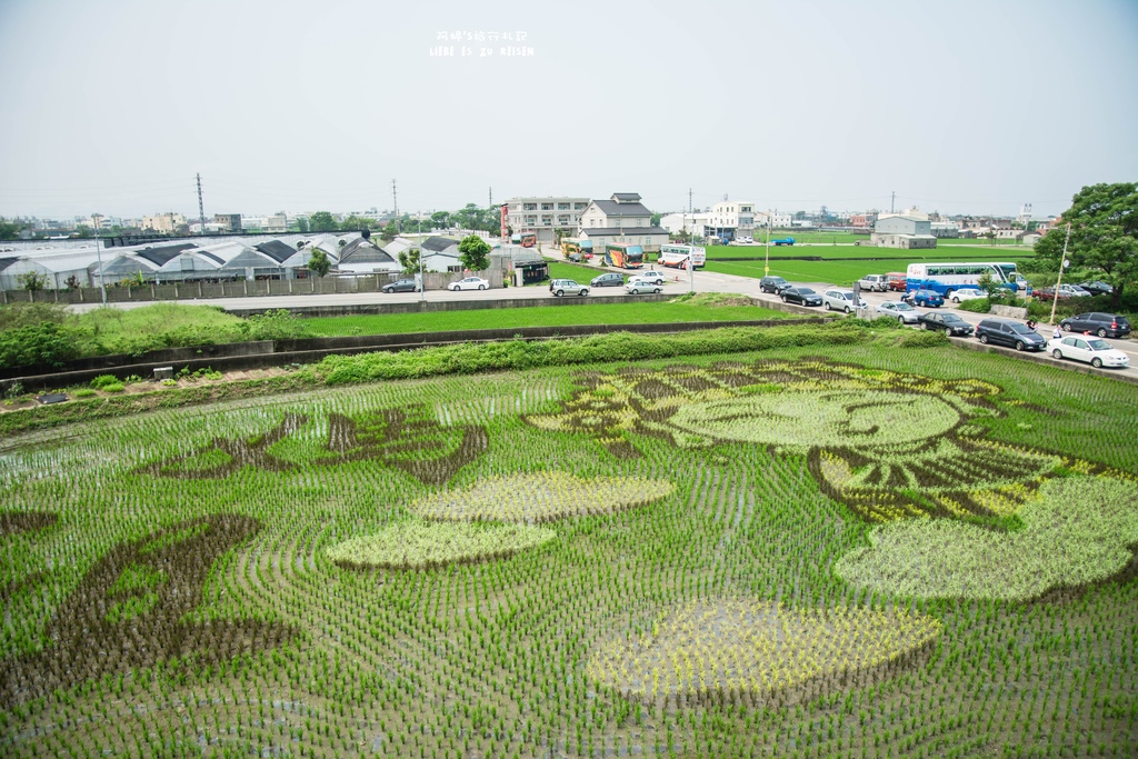 DSC_9221.jpg DSC_9221.jpg