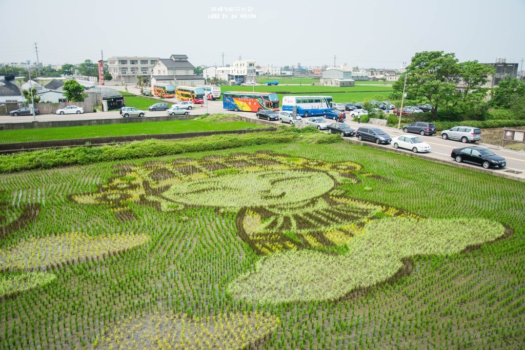 DSC_9222.jpg DSC_9222.jpg