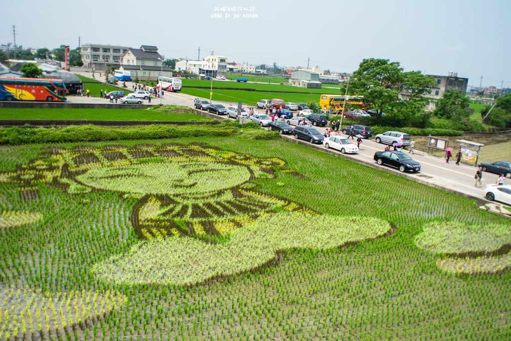 DSC_9231.jpg DSC_9231.jpg