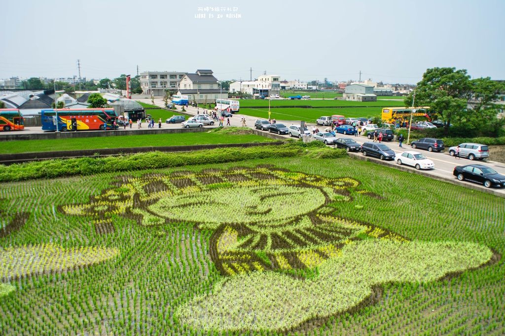 DSC_9228.jpg DSC_9228.jpg