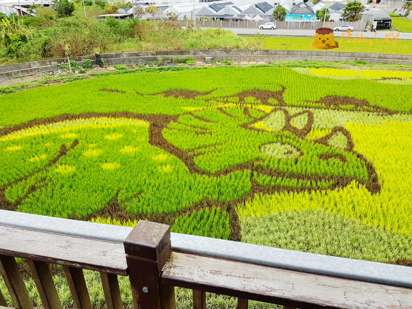 nEO_IMG_20161008_111853