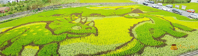 nEO_IMG_20161008_112203