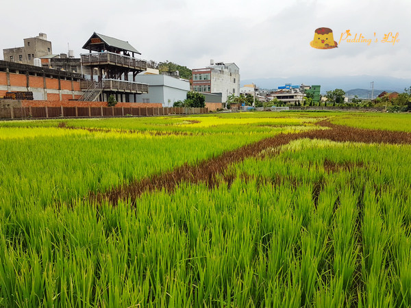 nEO_IMG_20161008_111528