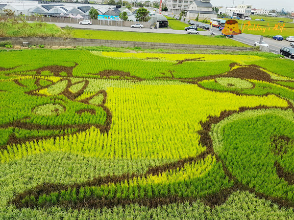 nEO_IMG_20161008_112010