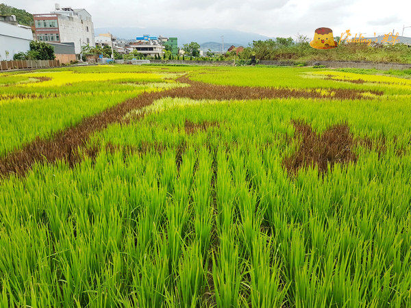 nEO_IMG_20161008_111531