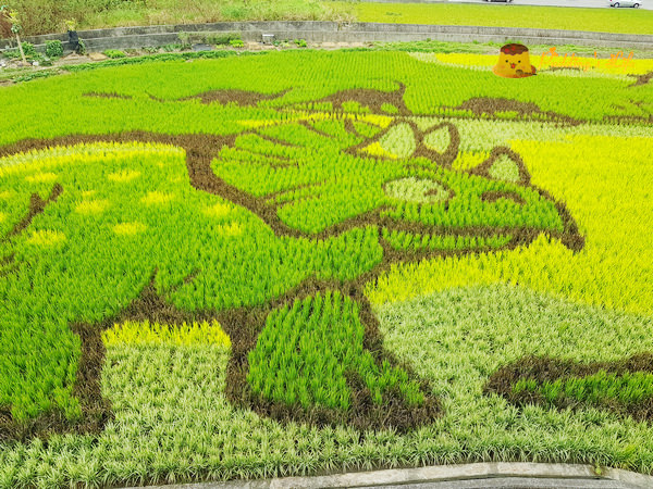 nEO_IMG_20161008_112629