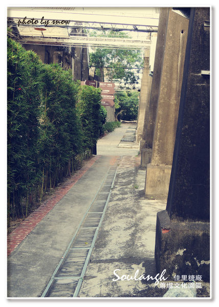 104.11.16 台南漳州木玫瑰體驗-蕭壠-5.jpg