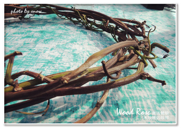 104.11.16 台南漳州木玫瑰體驗-橫式-13.jpg