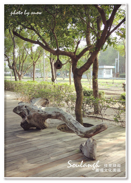 104.11.16 台南漳州木玫瑰體驗-蕭壠-6.jpg