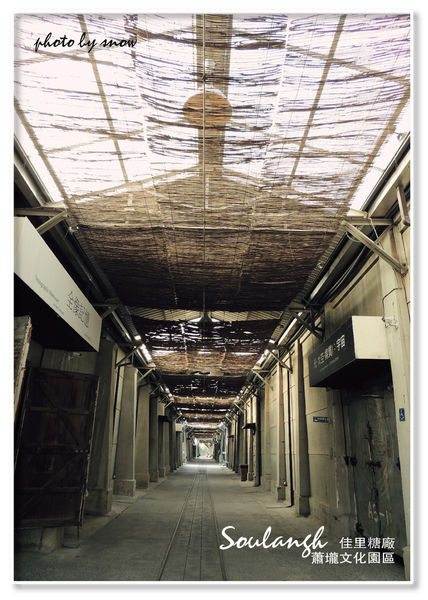 104.11.16 台南漳州木玫瑰體驗-7.jpg