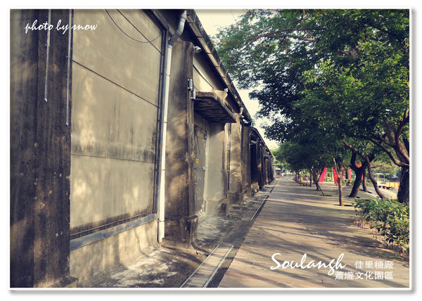 104.11.16 台南漳州木玫瑰體驗-蕭壠(橫)-3.jpg