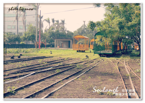 104.11.16 台南漳州木玫瑰體驗-蕭壠(橫)-5.jpg