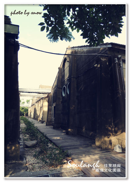 104.11.16 台南漳州木玫瑰體驗-蕭壠-3.jpg