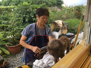 [宜蘭住宿] 羅東「微陽花弄」南法休閒民宿│焦糖烤布蕾雙人房（適合包棟的親子友善、寵物友善民宿）