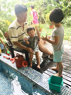 [宜蘭住宿] 羅東「微陽花弄」南法休閒民宿│焦糖烤布蕾雙人房（適合包棟的親子友善、寵物友善民宿）