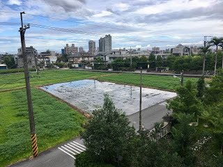 [宜蘭住宿] 羅東「微陽花弄」南法休閒民宿│焦糖烤布蕾雙人房（適合包棟的親子友善、寵物友善民宿）
