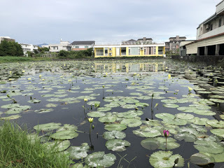 [宜蘭住宿] 羅東「微陽花弄」南法休閒民宿│焦糖烤布蕾雙人房（適合包棟的親子友善、寵物友善民宿）