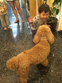 [宜蘭住宿] 羅東「微陽花弄」南法休閒民宿│焦糖烤布蕾雙人房（適合包棟的親子友善、寵物友善民宿）