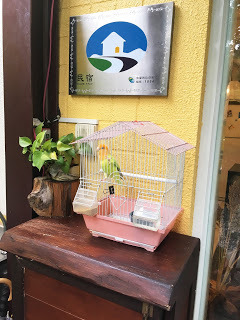 [宜蘭住宿] 羅東「微陽花弄」南法休閒民宿│焦糖烤布蕾雙人房（適合包棟的親子友善、寵物友善民宿）