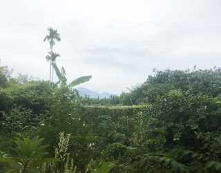 [宜蘭住宿] 羅東「微陽花弄」南法休閒民宿│焦糖烤布蕾雙人房（適合包棟的親子友善、寵物友善民宿）