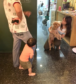 [宜蘭住宿] 羅東「微陽花弄」南法休閒民宿│焦糖烤布蕾雙人房（適合包棟的親子友善、寵物友善民宿）